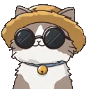 psycat_cahaya