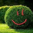 BUSH
