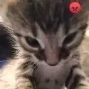 MGO_Angry