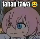 tawa tawa