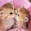 bb_kiss