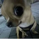 bombasticsideeye