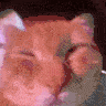 awoo