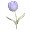 7_flower