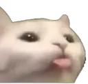 catblep