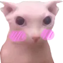bingus_blush