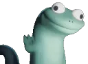 lizard