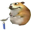 image0removebgpreview