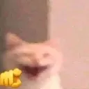 Pointandlaugh
