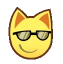catcool