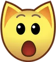 catshocked