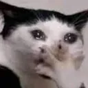 Ayyooo