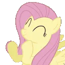 FlutterClap