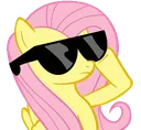 FlutterSwag