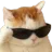 Cat_sunglasses
