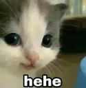 hehe