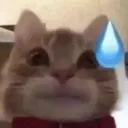 oopsie