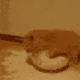 751171178114056292