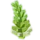 Romanesco