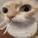 yavasnenavizhy yavasnenavizhy