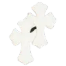 r_icn