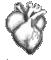 :heart35: heart35