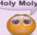 holymoly