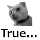 1truechloe_cat
