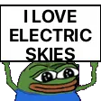 iloveelectricskies