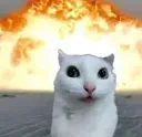 chaos