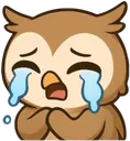 0_crying_owl