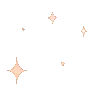 a1iconsparkle