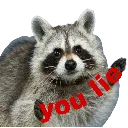 r_youlie