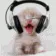 ks_catbop ks_catbop
