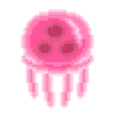 hk_jellyfish