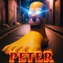 feethomer