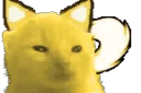 walorp