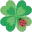 026clover2_cc
