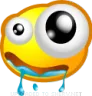 000