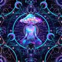 1000_F_339549451_pH7iraYu3GqV9Em