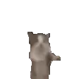 yippe