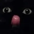 catlick