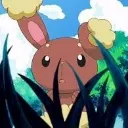 surprisebunny