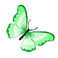 green_butterfly