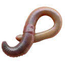 earthworm