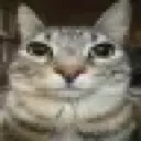 ona