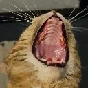 unbearableagony