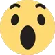 fbwow fbwow