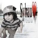 daniel_sybau