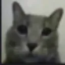 emoji_101